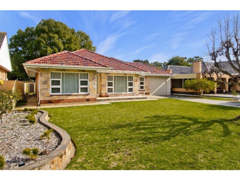 62 Clyde Avenue, Lockleys SA 5032