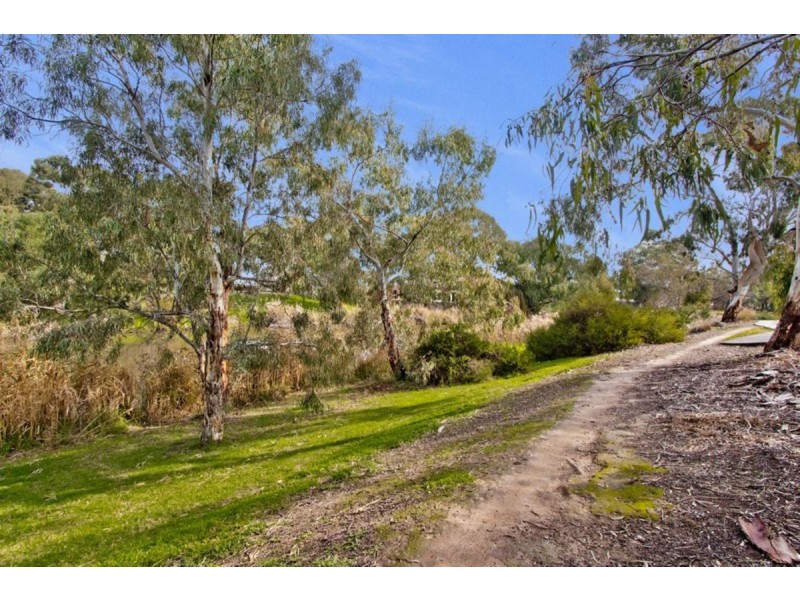 62 Clyde Avenue, Lockleys SA 5032