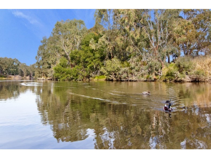 62 Clyde Avenue, Lockleys SA 5032