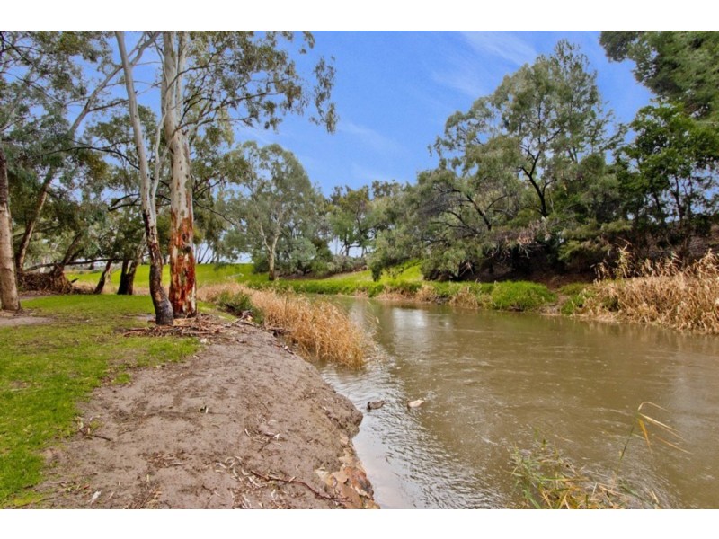 23 Grant Avenue, Lockleys SA 5032