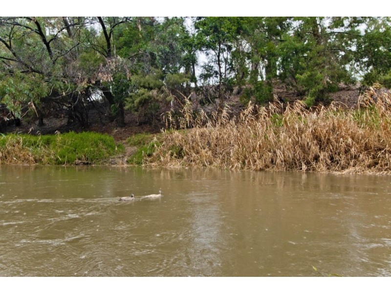 23 Grant Avenue, Lockleys SA 5032