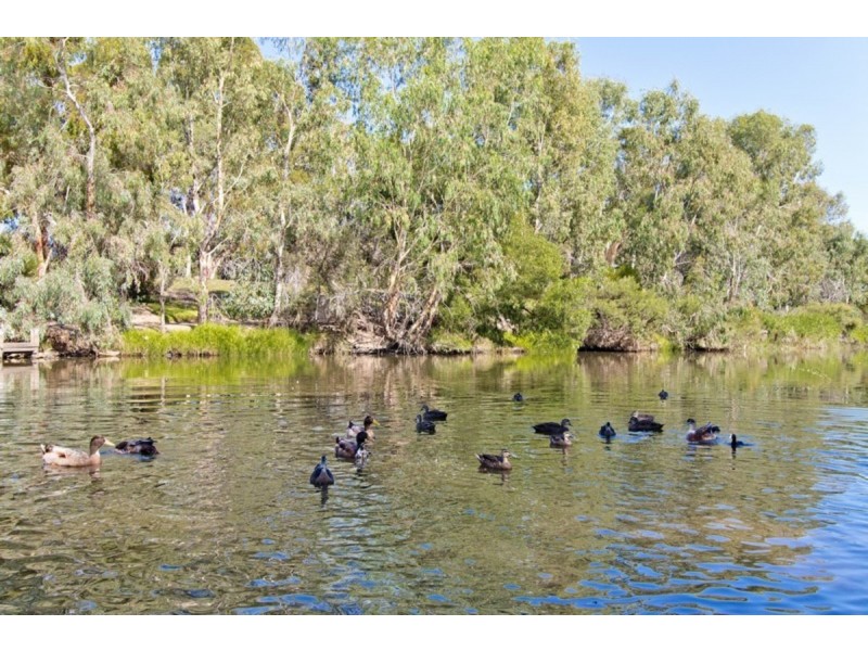 9/380 Henley Beach Road, Lockleys SA 5032