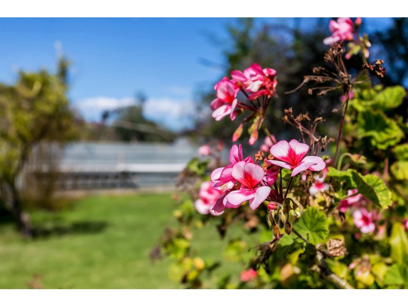 4 Howard Street, Flinders Park SA 5025