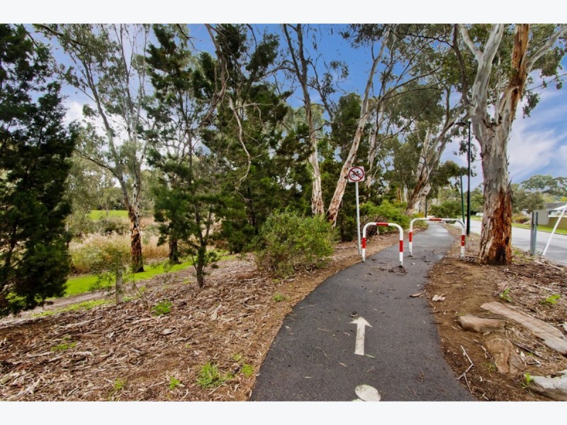 49 Clyde Avenue, Lockleys SA 5032