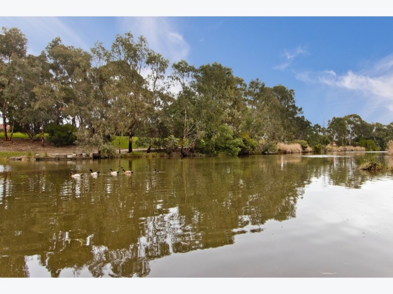 49 Clyde Avenue, Lockleys SA 5032