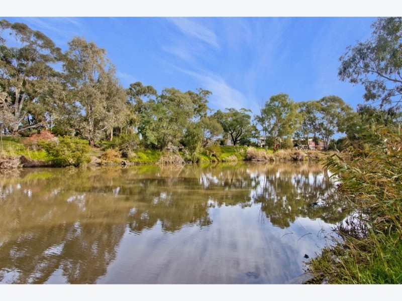 62 Clyde Avenue, Lockleys SA 5032