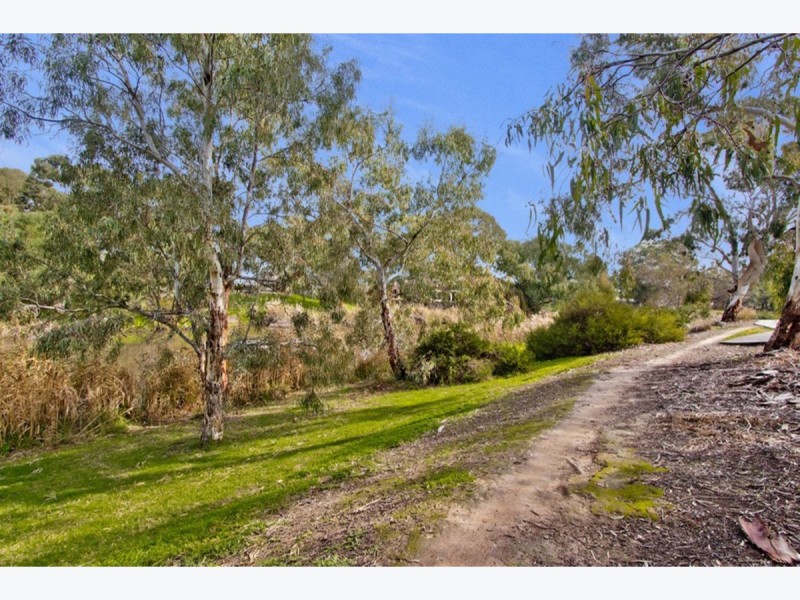 62 Clyde Avenue, Lockleys SA 5032