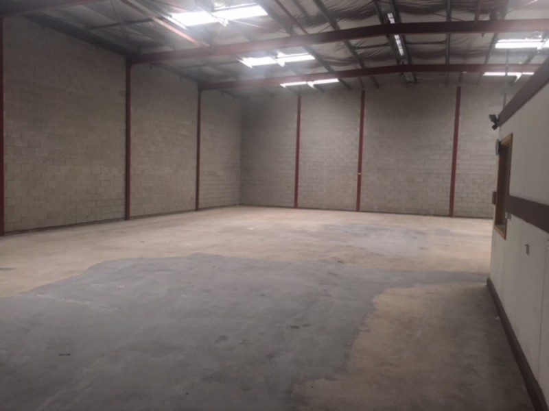 19 Hindmarsh Avenue, Welland SA 5007