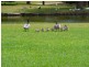 99 Valetta Rd, Kidman Park SA 5025