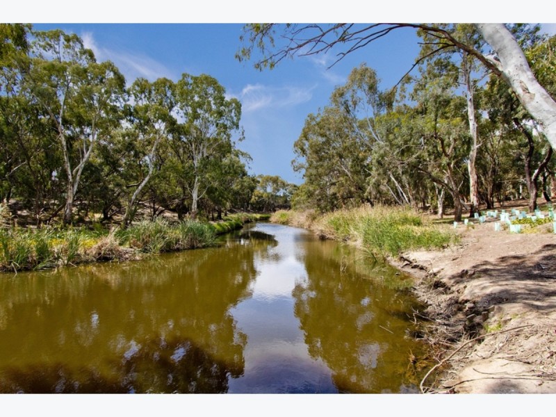 36A Douglas Street, Lockleys SA 5032