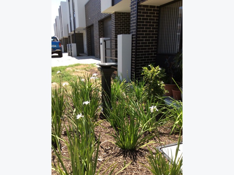 31 Crighton Road, Royal Park SA 5014