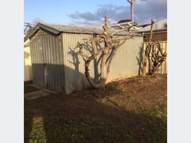 26 Kenton Street, Lockleys SA 5032