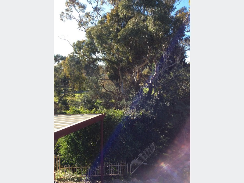 523 Grenfell Road, Banksia Park SA 5091