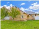 36 Cross Street, Lockleys SA 5032