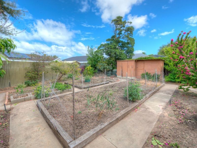 3 Wentworth St, Lockleys SA 5032