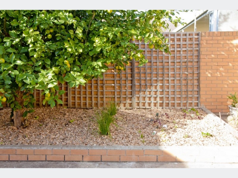 10 Grant Avenue, Lockleys SA 5032