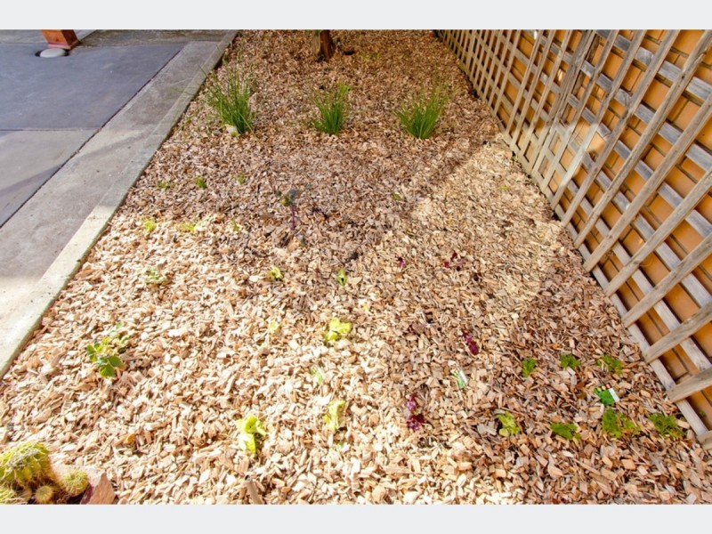 10 Grant Avenue, Lockleys SA 5032