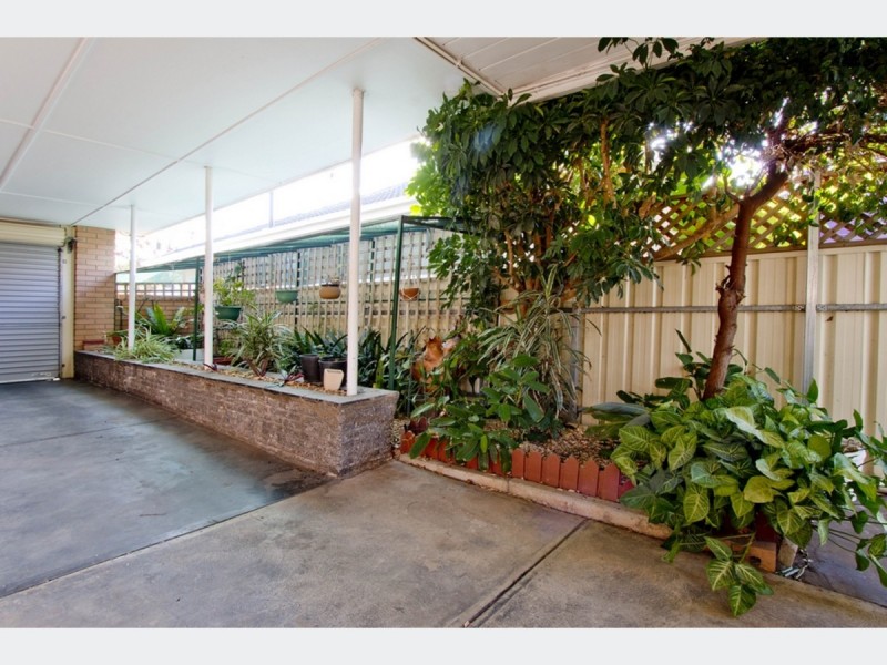 10 Grant Avenue, Lockleys SA 5032