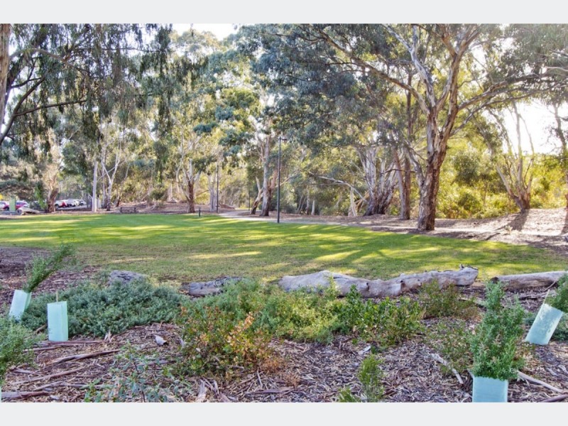 10 Grant Avenue, Lockleys SA 5032