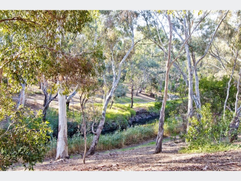 10 Grant Avenue, Lockleys SA 5032