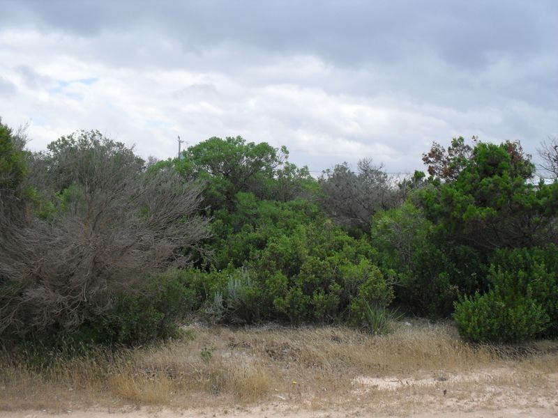 121 Esplanade, Thompson Beach SA 5501