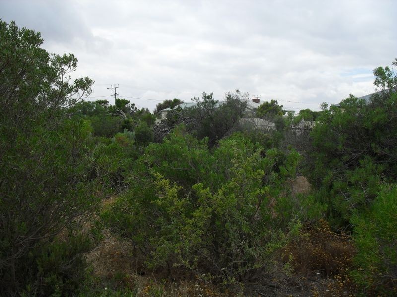 121 Esplanade, Thompson Beach SA 5501