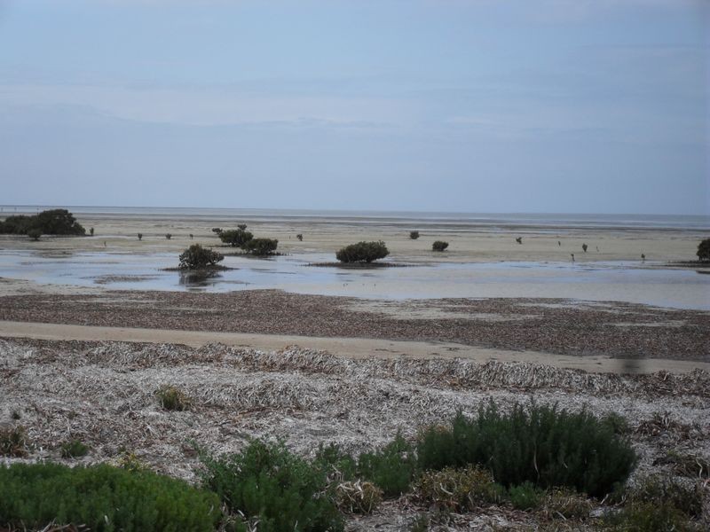 121 Esplanade, Thompson Beach SA 5501