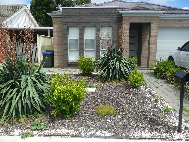 7 Abelia Avenue, Flinders Park SA 5025