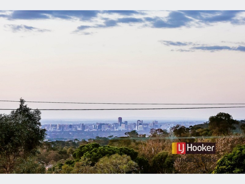 228a Shepherds Hill Road, Bellevue Heights SA 5050