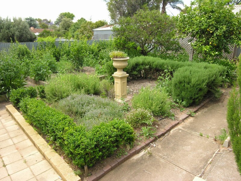 39 Torrens Avenue, Lockleys SA 5032