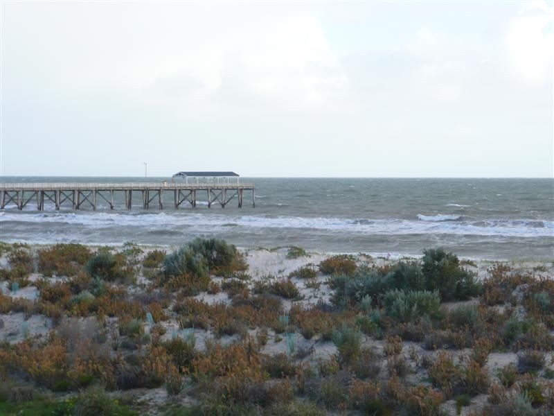 1/630 Seaview Road, Grange SA 5022