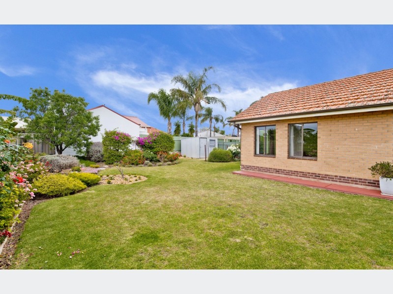 15 Brian Street, Lockleys SA 5032