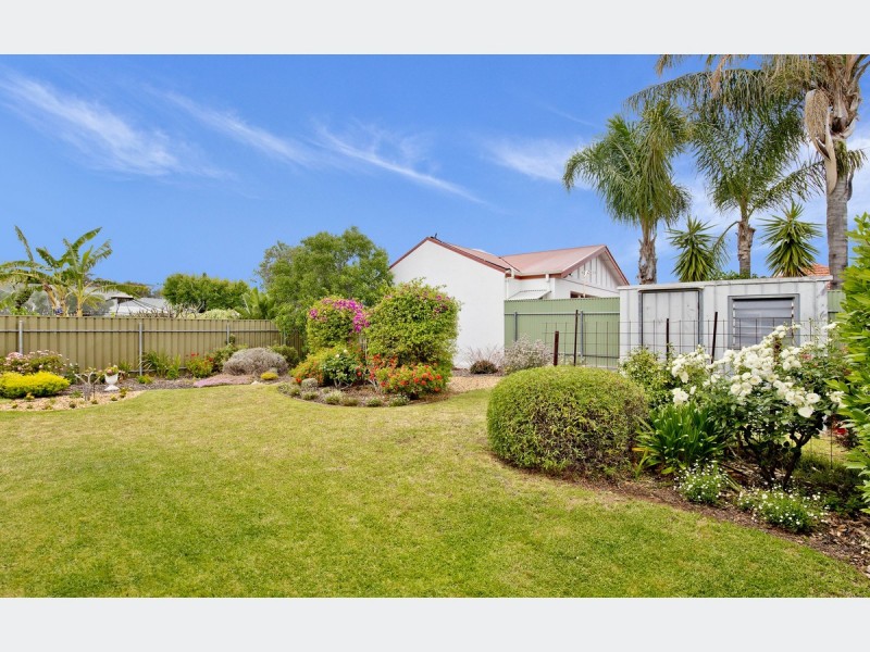 15 Brian Street, Lockleys SA 5032