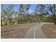 15 Brian Street, Lockleys SA 5032