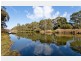 15 Brian Street, Lockleys SA 5032