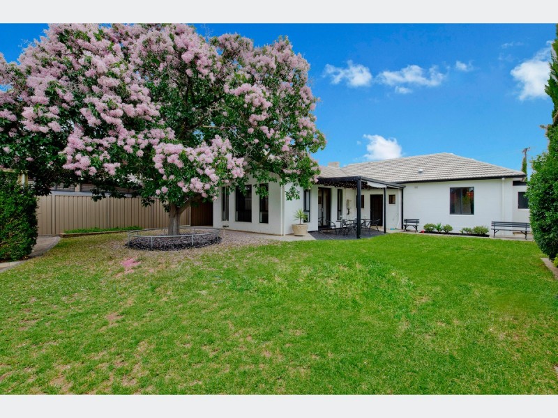 20 Dartmoor Street, Lockleys SA 5032