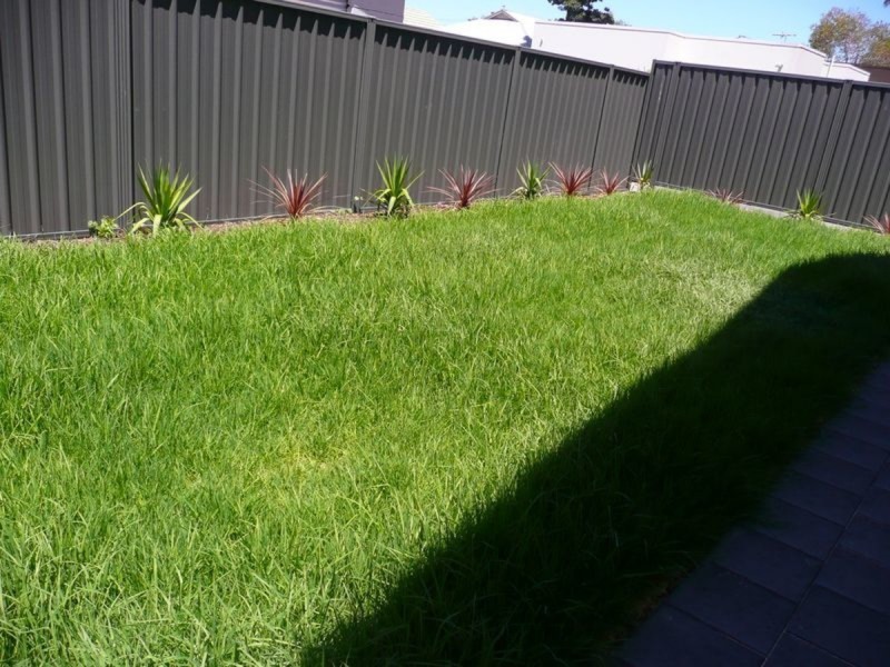 49B Bagot Avenue, Mile End SA 5031
