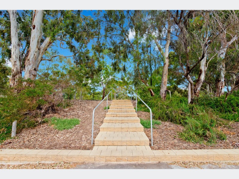 20 Dartmoor Street, Lockleys SA 5032