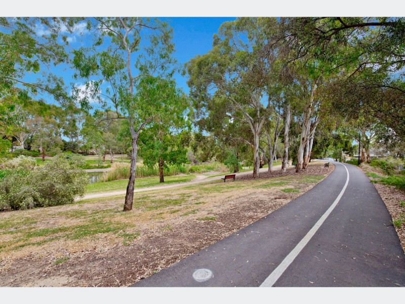 20 Dartmoor Street, Lockleys SA 5032