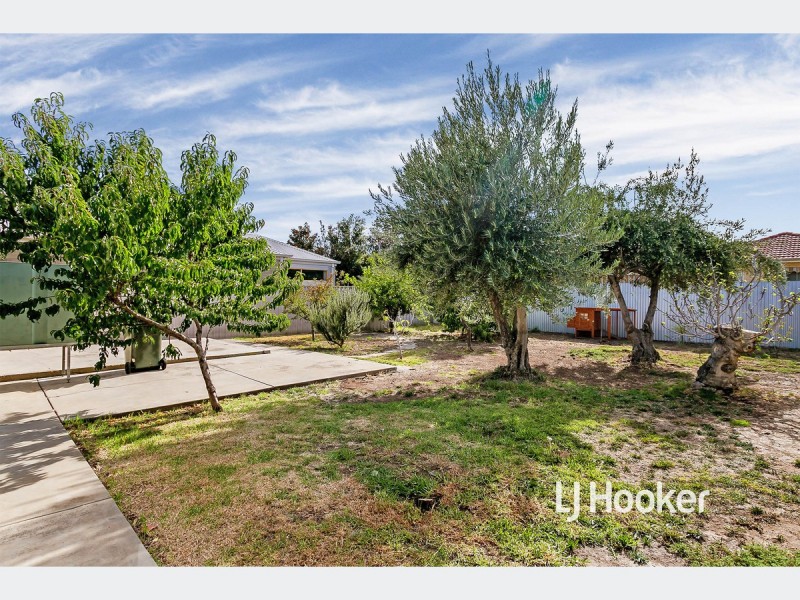 43 Douglas Street, Flinders Park SA 5025