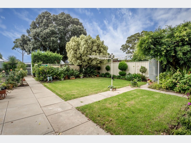 8 Kellett Avenue, Lockleys SA 5032