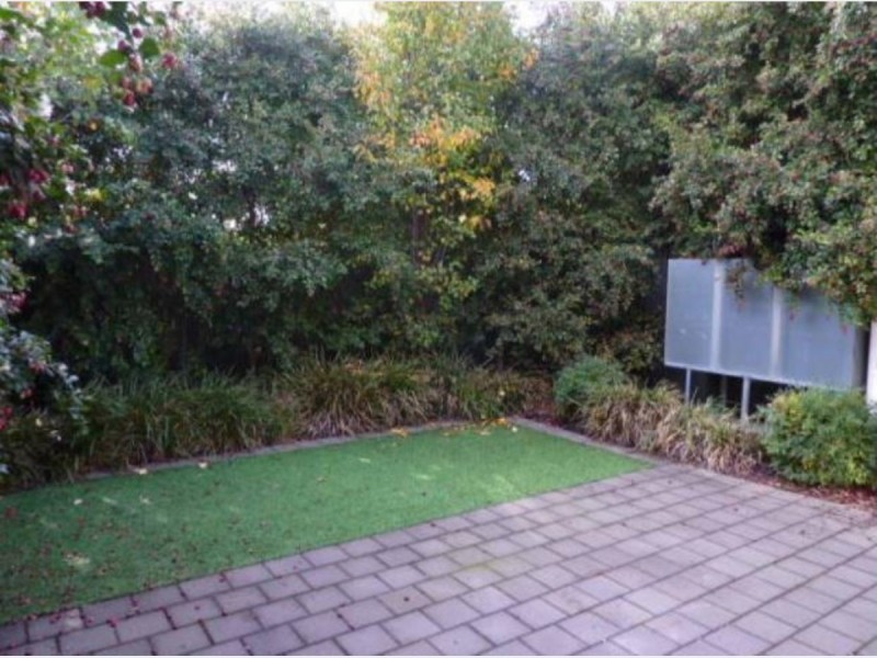 2C Alison Avenue, Marion SA 5043