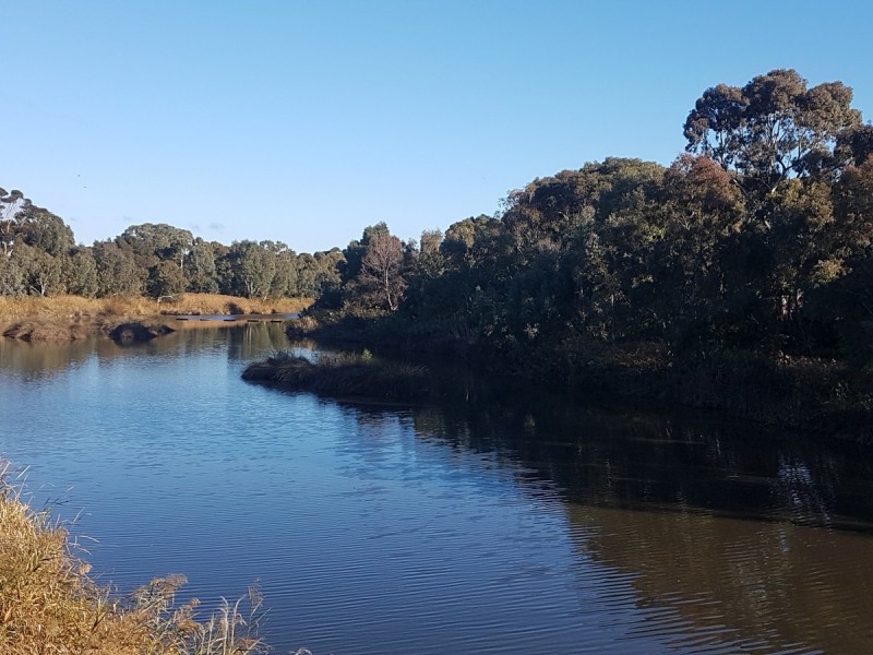 11A Rutland Avenue, Lockleys SA 5032