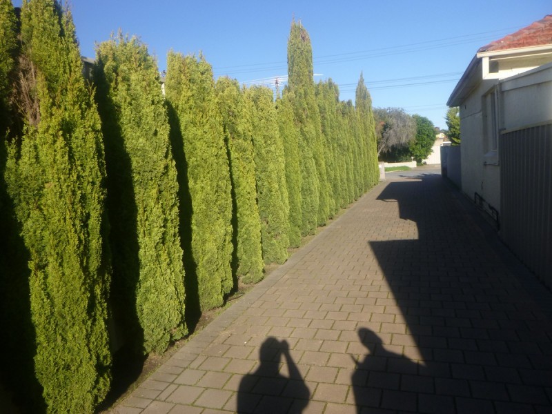 3A Aberfeldy Avenue, Woodville SA 5011