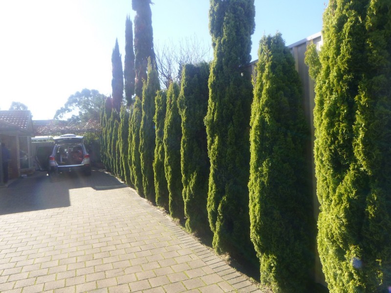 3A Aberfeldy Avenue, Woodville SA 5011