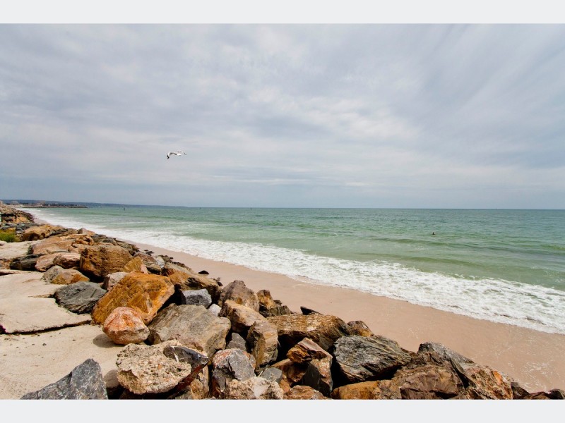 43 Bickford Street, Richmond SA 5033