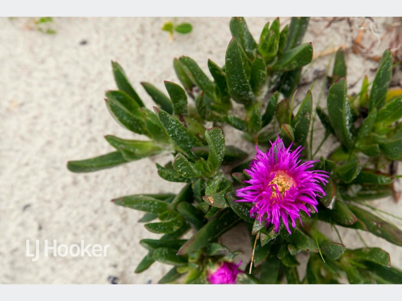 7/62 Seaview Road, West Beach SA 5024