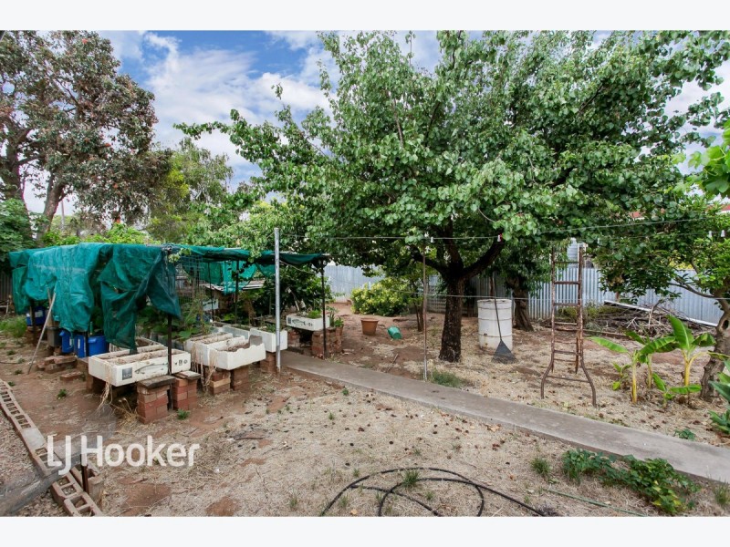 19 Glanton Street, West Hindmarsh SA 5007