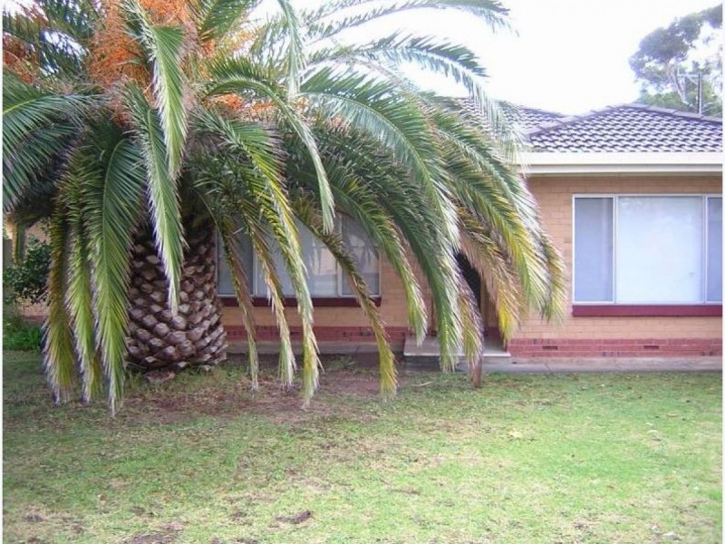 11 Egras Avenue, Fulham Gardens SA 5024