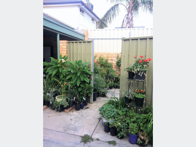 5/31 Oleander St West, South Brighton SA 5048